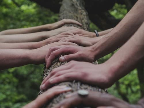 Collaboration and Networking